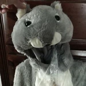 Squirrel costume